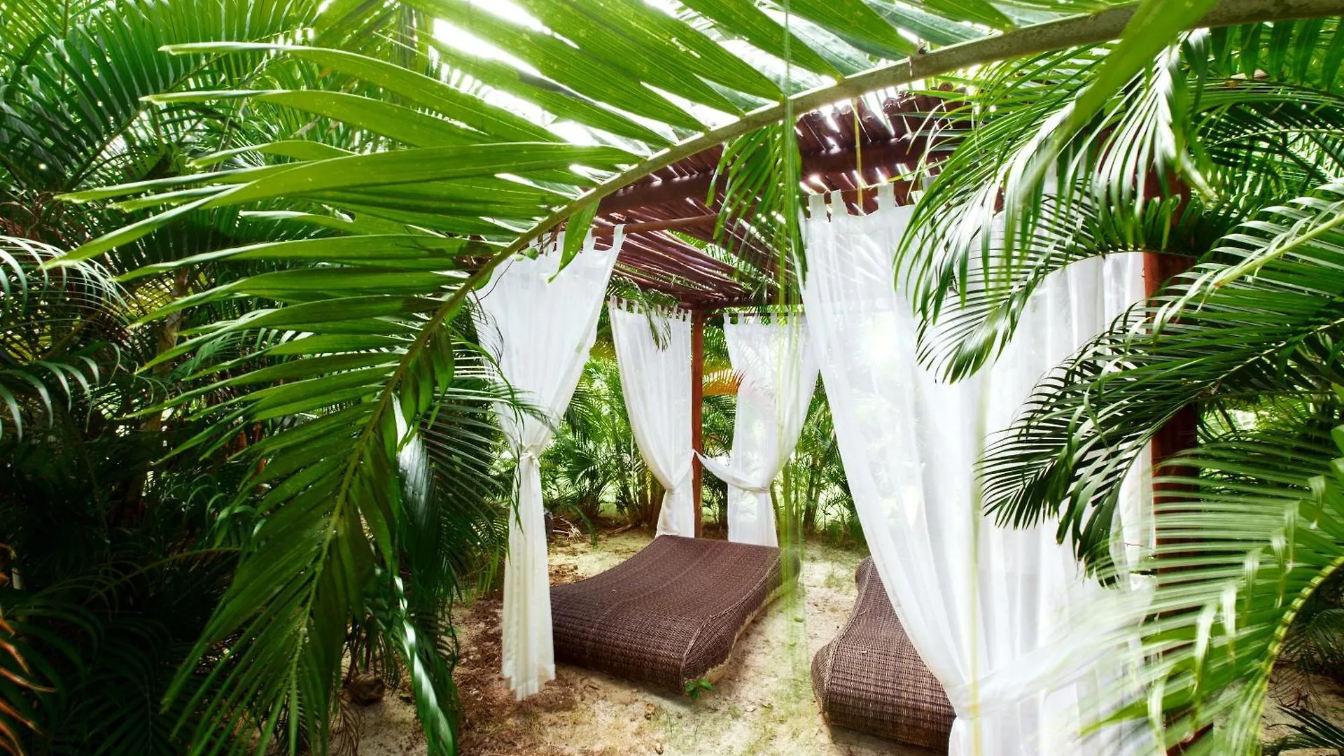 ***** Hotel Ducassi Suites Rooftop Pool - Beach Club And Spa Punta Cana Dominican Republic